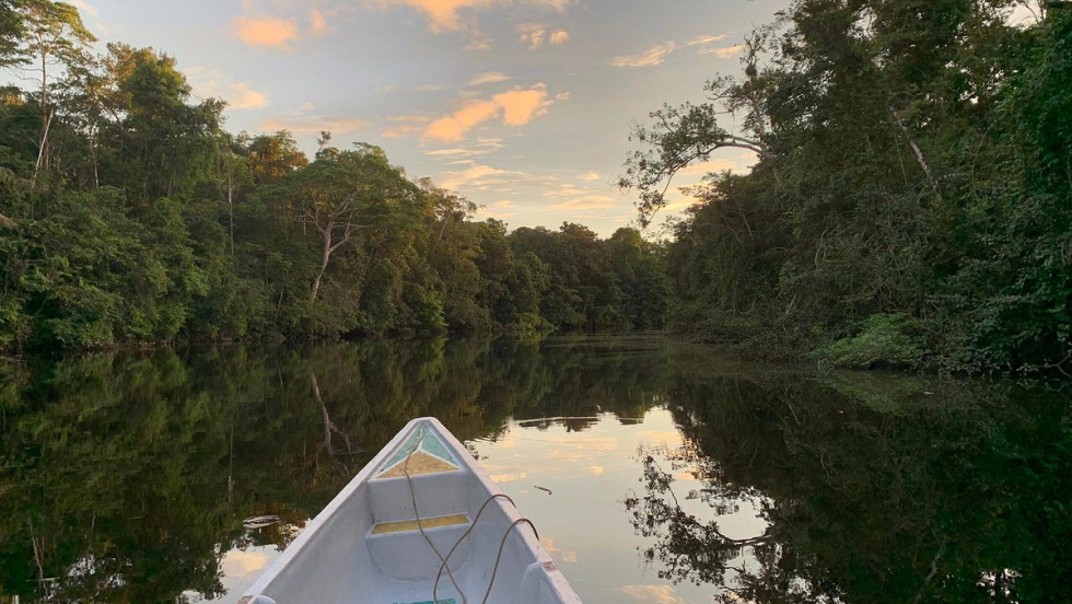 7 Thrilling Adventures Await: What to Expect When Visiting Cuyabeno Wildlife Reserve