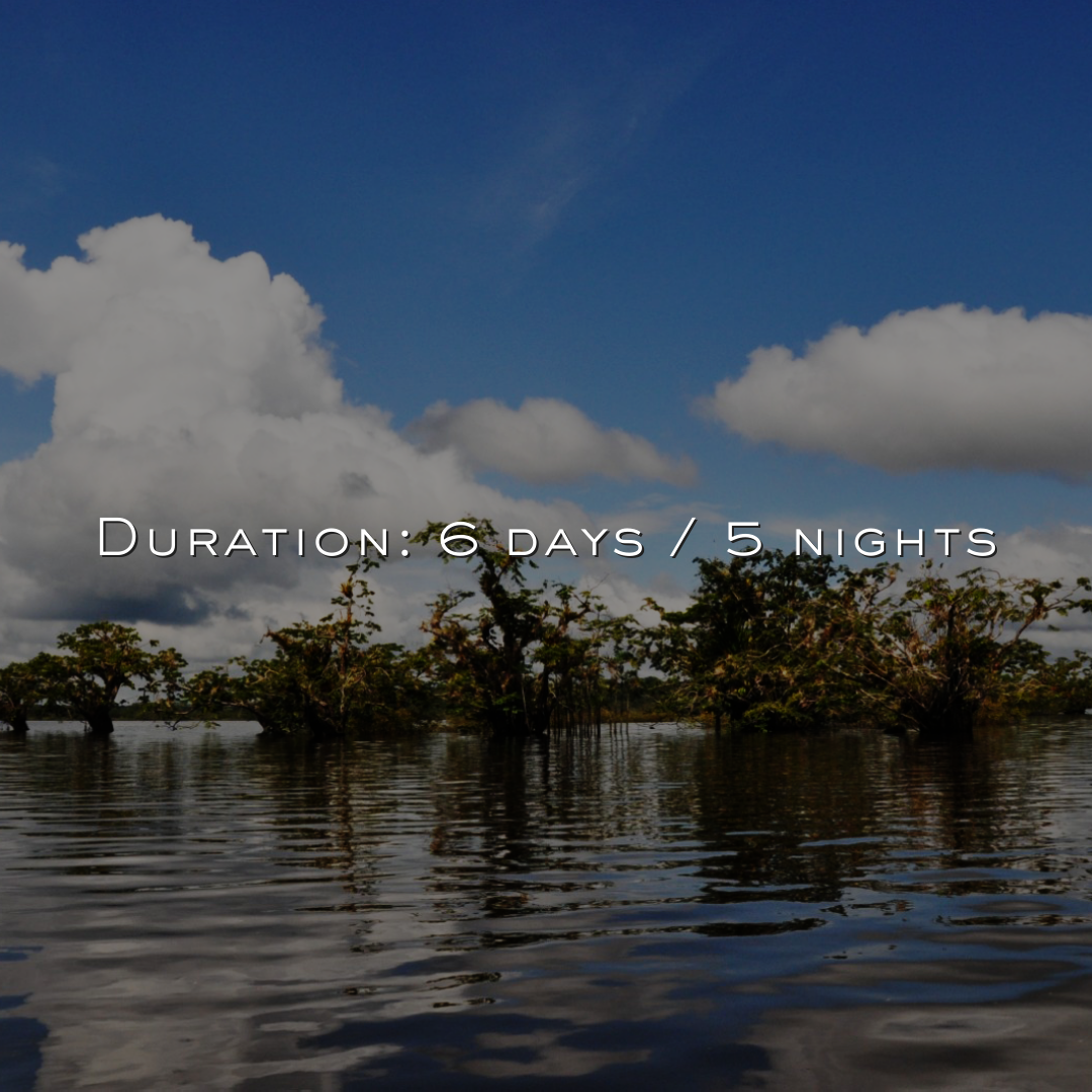 Aguas Negras River Lodge in Cuyabeno Wildlife reserve, in Ecuador, adventure in heart of the Amazon