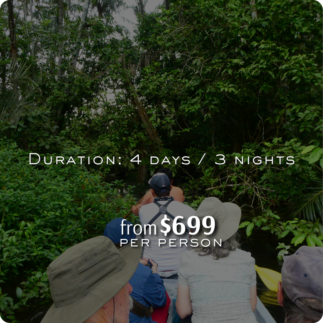 Easy Canoeing Tour at Cuyabeno From $489 per person
